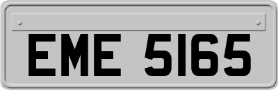 EME5165