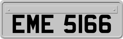 EME5166