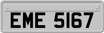 EME5167