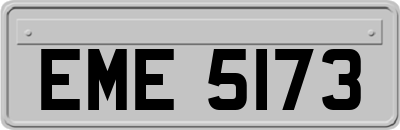 EME5173