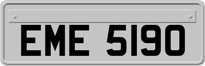 EME5190
