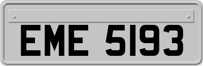 EME5193