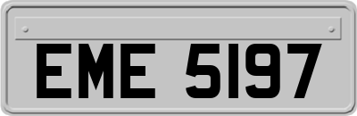 EME5197