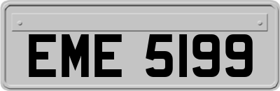 EME5199