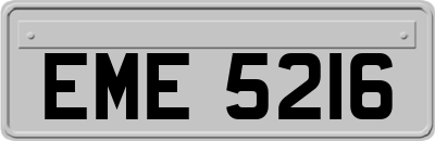 EME5216