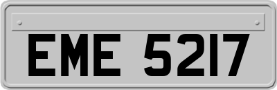 EME5217