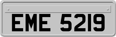 EME5219