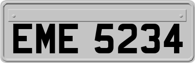 EME5234