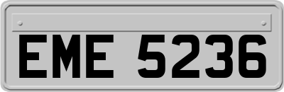 EME5236