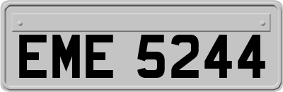 EME5244