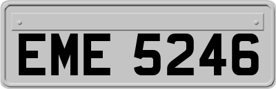 EME5246