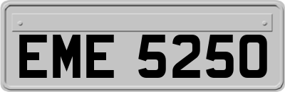 EME5250