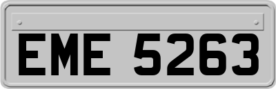 EME5263