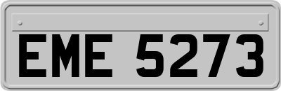 EME5273