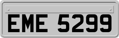 EME5299