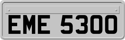 EME5300