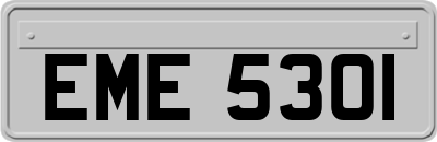 EME5301