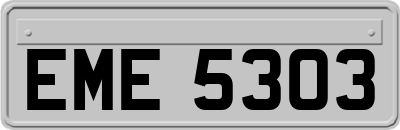 EME5303