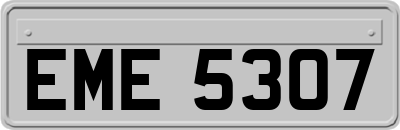 EME5307