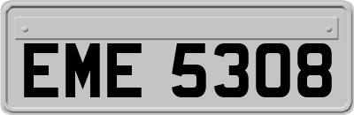 EME5308