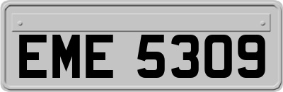 EME5309