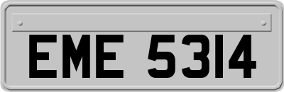 EME5314