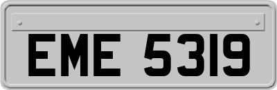 EME5319