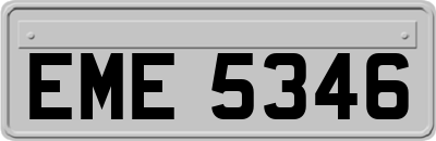 EME5346