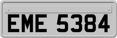 EME5384