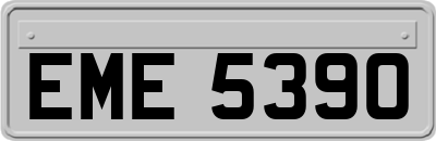 EME5390