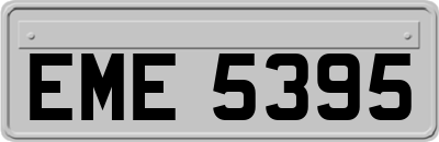 EME5395