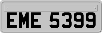 EME5399