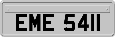 EME5411