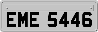 EME5446