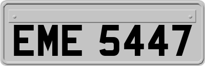 EME5447
