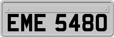 EME5480