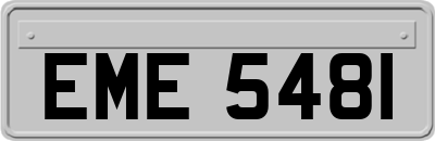 EME5481