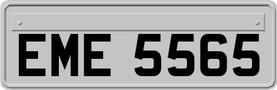 EME5565