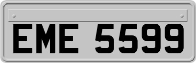 EME5599