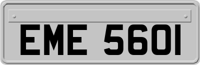 EME5601