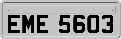 EME5603