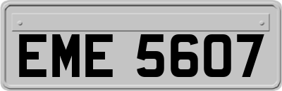 EME5607