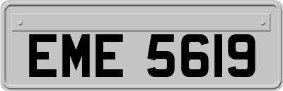 EME5619