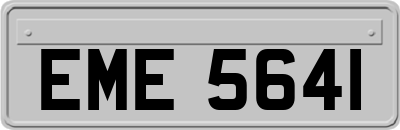 EME5641