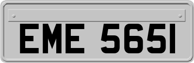 EME5651