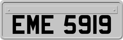 EME5919