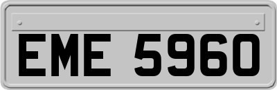 EME5960