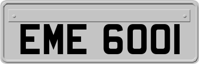 EME6001