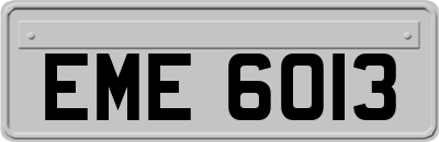 EME6013