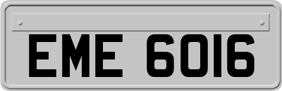 EME6016